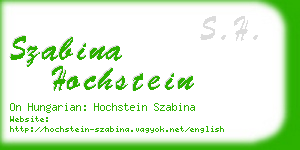 szabina hochstein business card